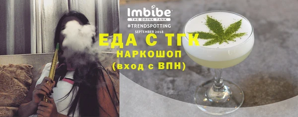 индика Арсеньев
