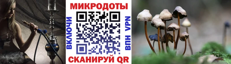 Галлюциногенные грибы мицелий Купить Трёхгорный